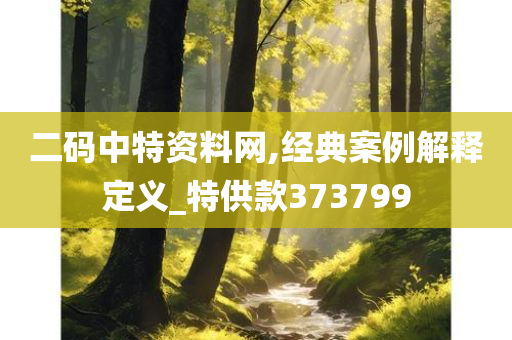 二码中特资料网,经典案例解释定义_特供款373799