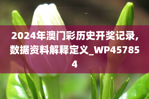 2024年澳门彩历史开奖记录,数据资料解释定义_WP457854