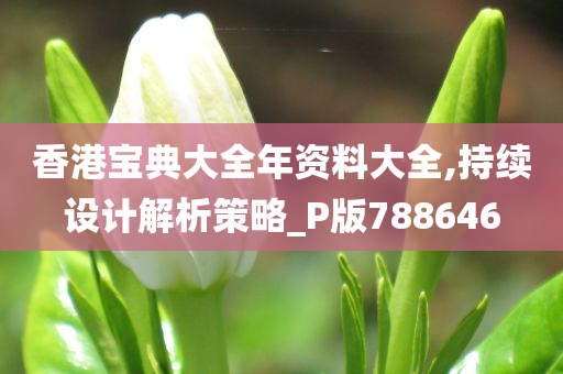 香港宝典大全年资料大全,持续设计解析策略_P版788646