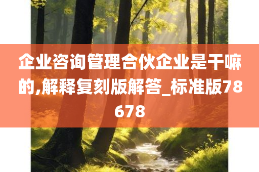 企业咨询管理合伙企业是干嘛的,解释复刻版解答_标准版78678