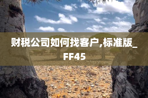 财税公司如何找客户,标准版_FF45