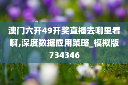 澳门六开49开奖直播去哪里看啊,深度数据应用策略_模拟版734346