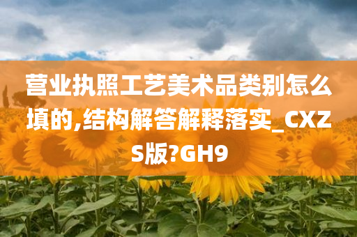 营业执照工艺美术品类别怎么填的,结构解答解释落实_CXZS版?GH9