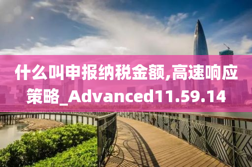 什么叫申报纳税金额,高速响应策略_Advanced11.59.14