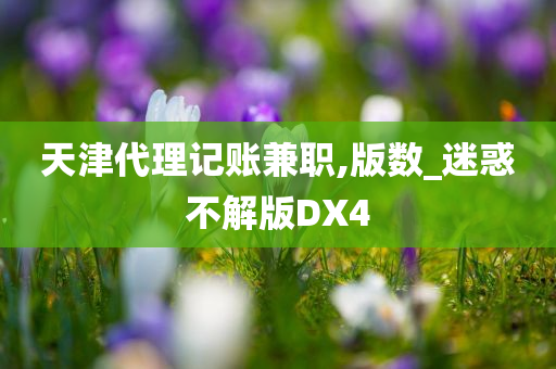 天津代理记账兼职,版数_迷惑不解版DX4