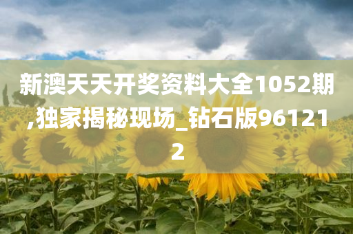 新澳天天开奖资料大全1052期,独家揭秘现场_钻石版961212