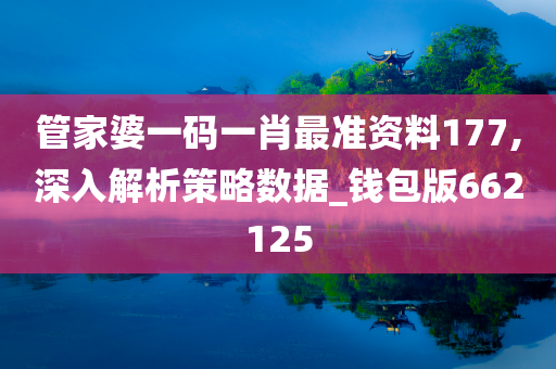 管家婆一码一肖最准资料177,深入解析策略数据_钱包版662125