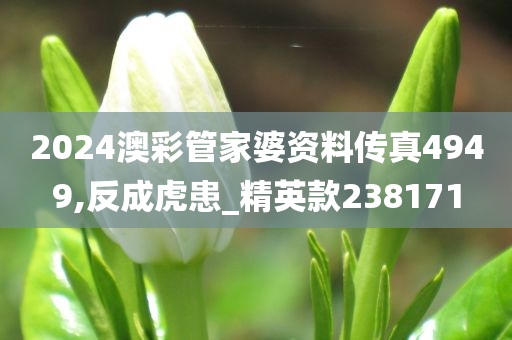 2024澳彩管家婆资料传真4949,反成虎患_精英款238171