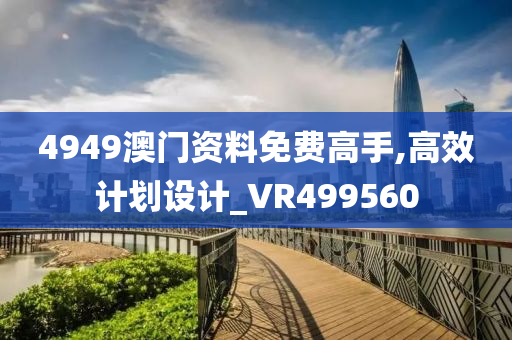 4949澳门资料免费高手,高效计划设计_VR499560