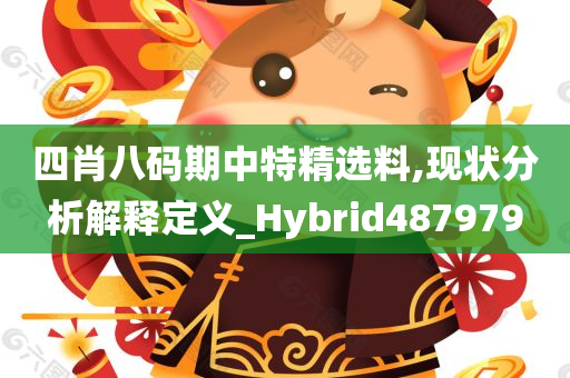 四肖八码期中特精选料,现状分析解释定义_Hybrid487979