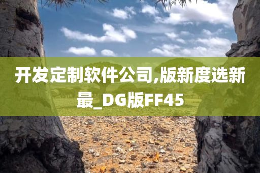 开发定制软件公司,版新度选新最_DG版FF45