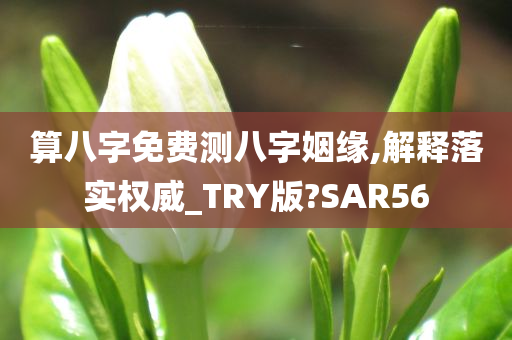 算八字免费测八字姻缘,解释落实权威_TRY版?SAR56