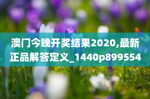 澳门今晚开奖结果2020,最新正品解答定义_1440p899554