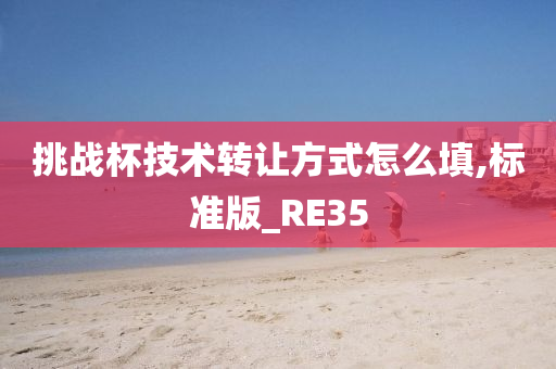 挑战杯技术转让方式怎么填,标准版_RE35