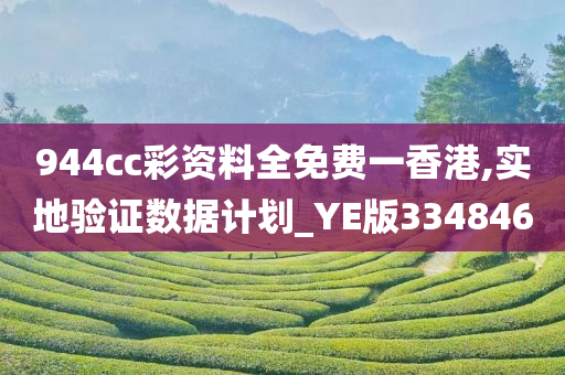 944cc彩资料全免费一香港,实地验证数据计划_YE版334846