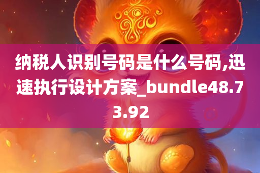 纳税人识别号码是什么号码,迅速执行设计方案_bundle48.73.92