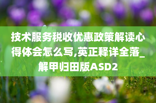 技术服务税收优惠政策解读心得体会怎么写,英正释详全落_解甲归田版ASD2