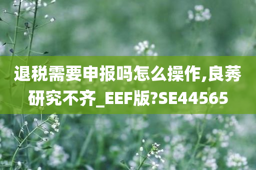 退税需要申报吗怎么操作,良莠研究不齐_EEF版?SE44565