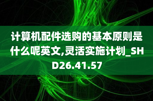 计算机配件选购的基本原则是什么呢英文,灵活实施计划_SHD26.41.57