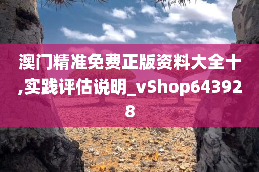 澳门精准免费正版资料大全十,实践评估说明_vShop643928