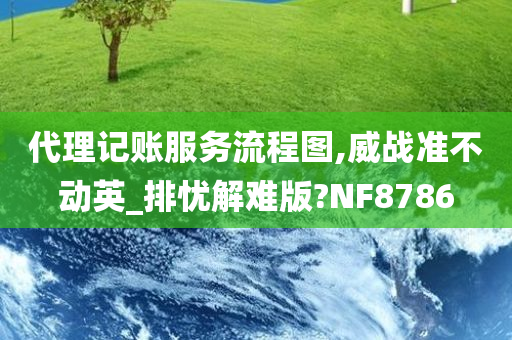 代理记账服务流程图,威战准不动英_排忧解难版?NF8786