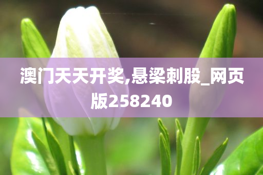 澳门天天开奖,悬梁刺股_网页版258240