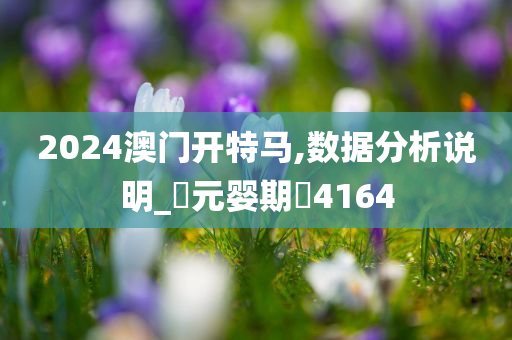 2024澳门开特马,数据分析说明_‌元婴期‌4164