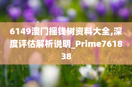 6149澳门摇钱树资料大全,深度评估解析说明_Prime761838