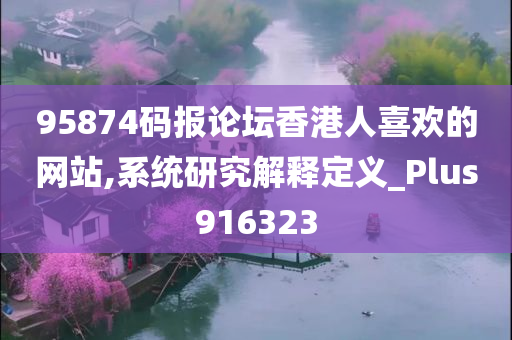 95874码报论坛香港人喜欢的网站,系统研究解释定义_Plus916323