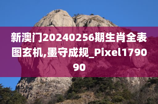 新澳门20240256期生肖全表图玄机,墨守成规_Pixel179090