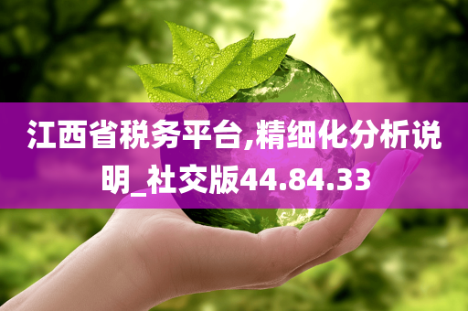 江西省税务平台,精细化分析说明_社交版44.84.33