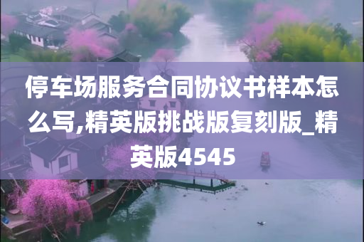 停车场服务合同协议书样本怎么写,精英版挑战版复刻版_精英版4545