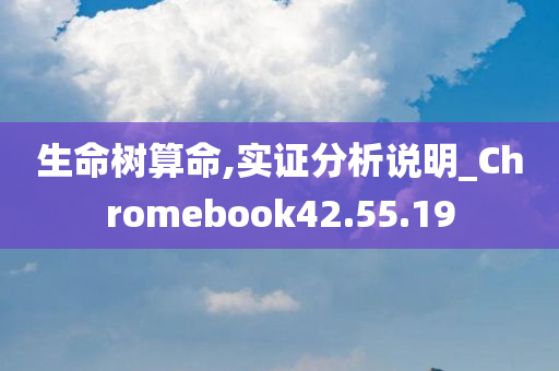 生命树算命,实证分析说明_Chromebook42.55.19