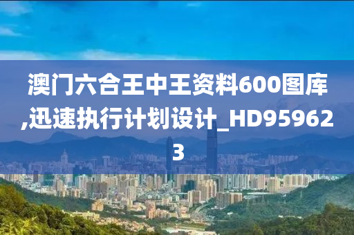 澳门六合王中王资料600图库,迅速执行计划设计_HD959623