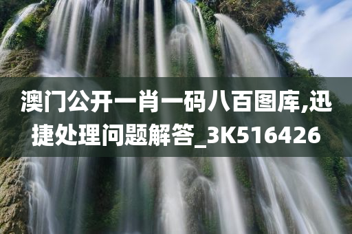 澳门公开一肖一码八百图库,迅捷处理问题解答_3K516426