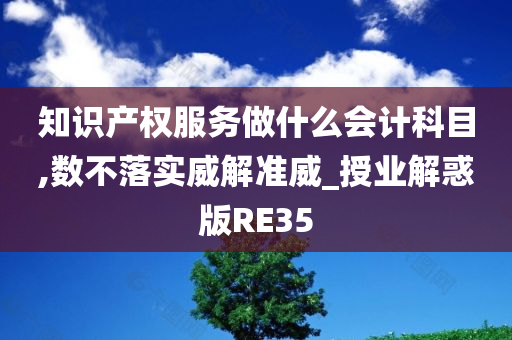 知识产权服务做什么会计科目,数不落实威解准威_授业解惑版RE35