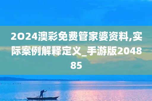 2O24澳彩免费管家婆资料,实际案例解释定义_手游版204885