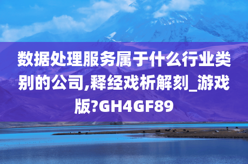 数据处理服务属于什么行业类别的公司,释经戏析解刻_游戏版?GH4GF89