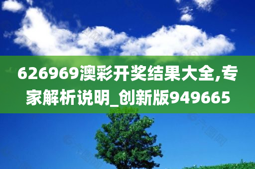 626969澳彩开奖结果大全,专家解析说明_创新版949665