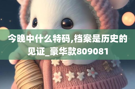 今晚中什么特码,档案是历史的见证_豪华款809081