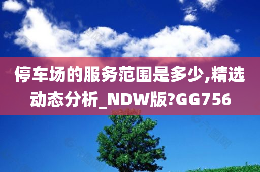 停车场的服务范围是多少,精选动态分析_NDW版?GG756