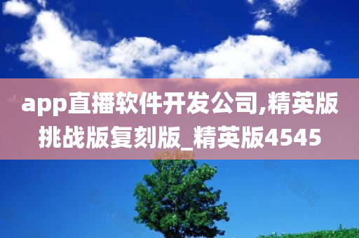 app直播软件开发公司,精英版挑战版复刻版_精英版4545