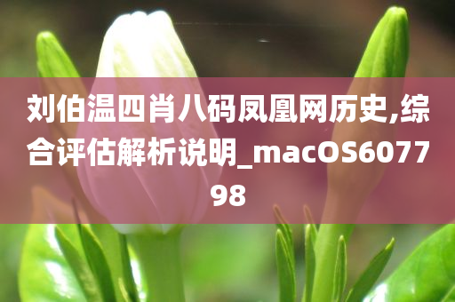 刘伯温四肖八码凤凰网历史,综合评估解析说明_macOS607798