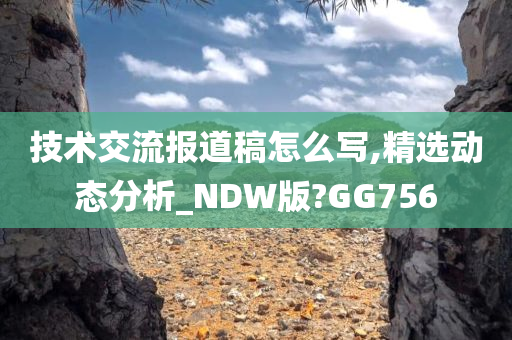 技术交流报道稿怎么写,精选动态分析_NDW版?GG756