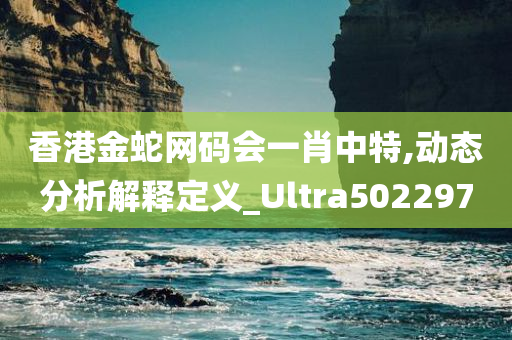 香港金蛇网码会一肖中特,动态分析解释定义_Ultra502297