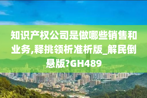 知识产权公司是做哪些销售和业务,释挑领析准析版_解民倒悬版?GH489