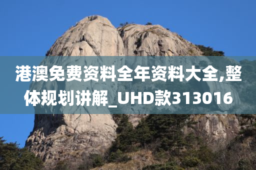 港澳免费资料全年资料大全,整体规划讲解_UHD款313016