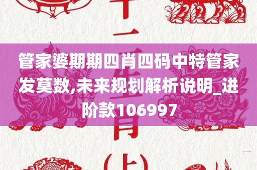 管家婆期期四肖四码中特管家发莫数,未来规划解析说明_进阶款106997