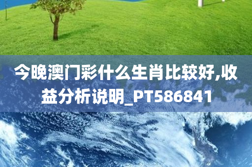 今晚澳门彩什么生肖比较好,收益分析说明_PT586841