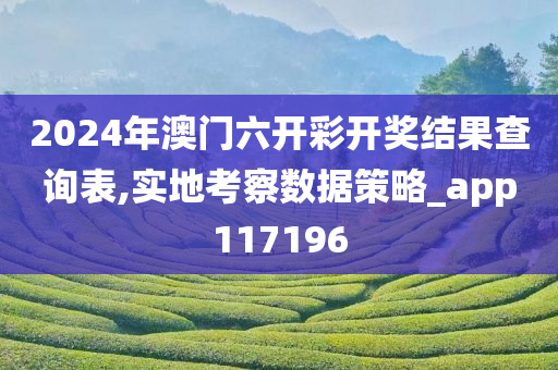 2024年澳门六开彩开奖结果查询表,实地考察数据策略_app117196